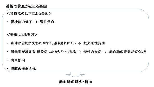 腎硬化症査