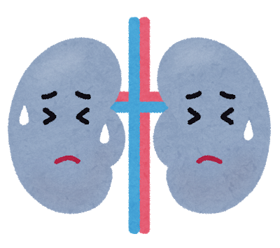 腎不全患者の余命はどのくらい？透析しないとどうなる？ | 東京