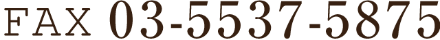 03-5537-5875